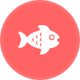 circle-fish